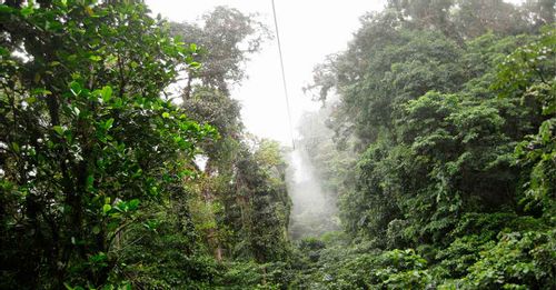Zipline through the Cloud Forest