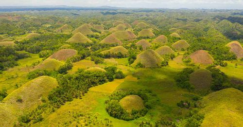 View the jaw-dropping Chocolate Hills
