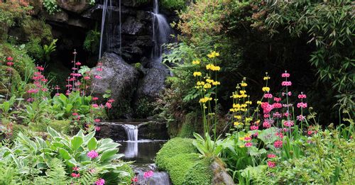 Visit the Spectacular Bodnant Garden