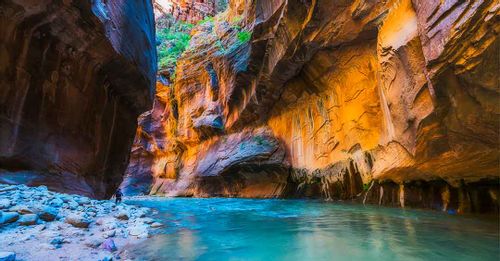 The Narrows – Zion National Park