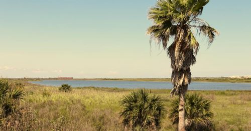 Relax at Galveston Island State Park