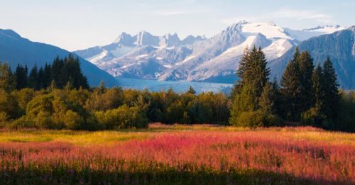4. Enjoy Alaska Spectacular Cruisetour