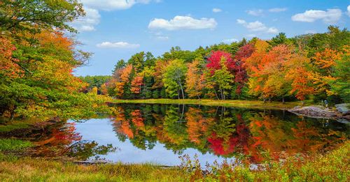 Check out the fall foliage in America’s northeast