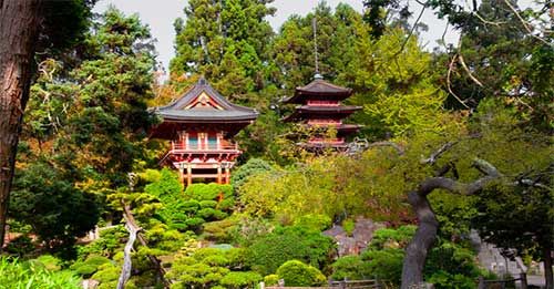 Visit the Japanese Tea Garden