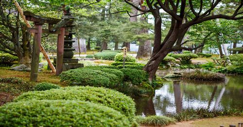 Spend a relaxing evening walking through the serene Kenroku-en garden