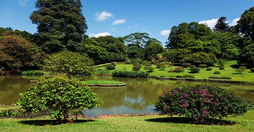 Peradeniya Royal Botanical Gardens - Kandy