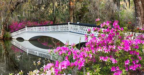 Explore Magnolia Plantation & Gardens