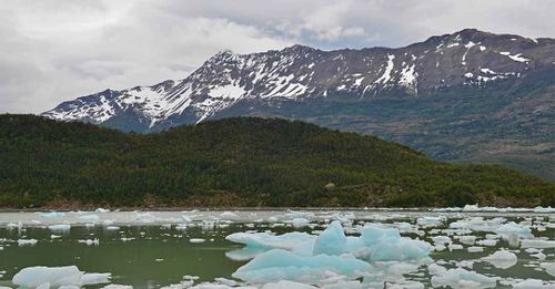 See the Serrano glacier up close when you ride on a Patagonia glacier cruise