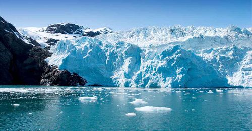 Tour of Alaska Dramatic Glaciers and Wildest Creatures