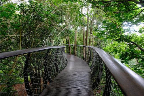 Visit Kirstenbosch, Cape Town, South Africa