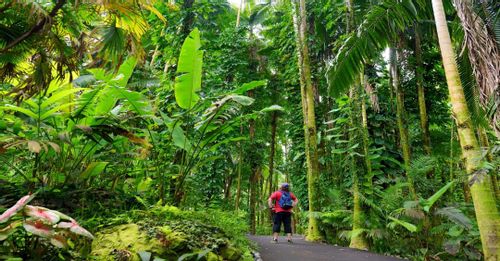 Hawaii Tropical Botanical Garden