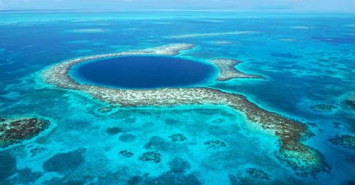 Go scuba diving to discover the vast, beautiful underwater scenery of the Belize Barrier Reef