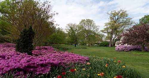 Explore nature at Sherwood Gardens
