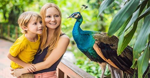 See the animals at Zoo Miami
