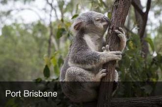 Featured Destination