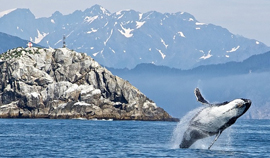 Why Your First Cruise Should Be To Alaska