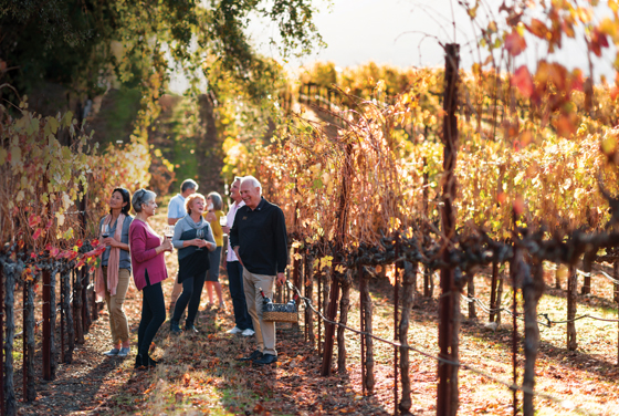 Wine testing in Sonoma